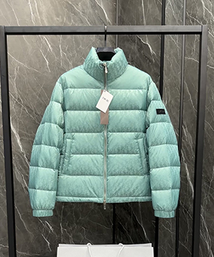 디올 오블리크 다운 패딩