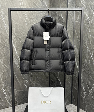 디올 오블리크 다운 패딩