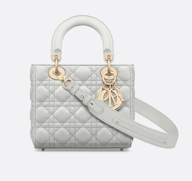 디올 레이디백 스몰 클라우드 그레이
