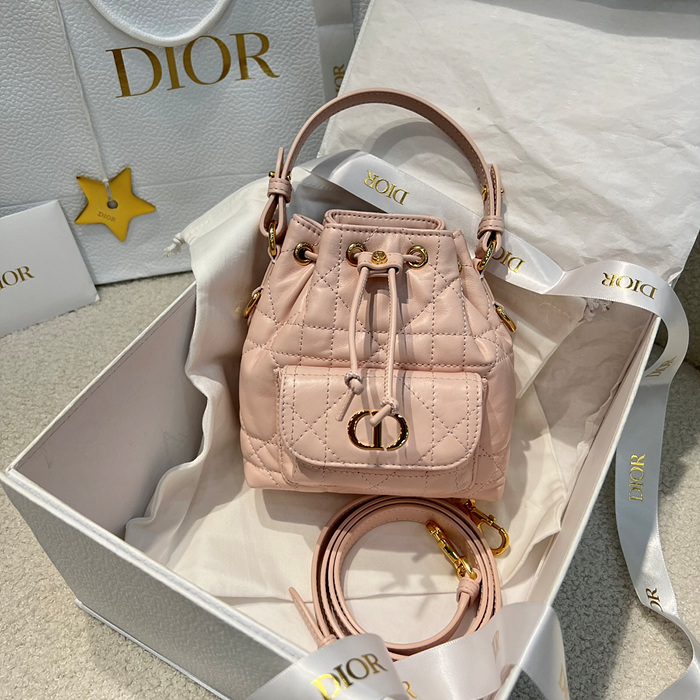 디올 카로 버킷백 나노