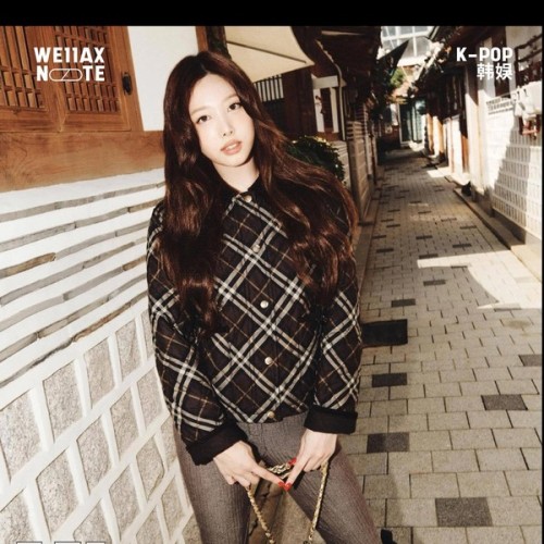 버버리 카라 숏 경량 패딩
